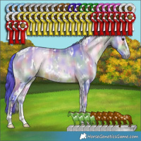 Horse Color:Nacre Watercolor White Spotted Bay Ice Onyx