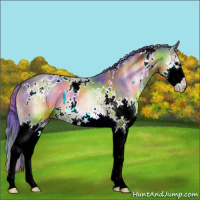 Horse Color:Nacre Watercolor White Spotted Bay Onyx Splash 