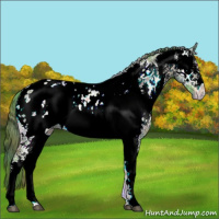 Horse Color:Nacre Watercolor White Spotted Blue Onyx Ice Near Leopard 