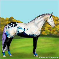 Horse Color:Watercolor White Spotted Bay Onyx Splash Varnish 