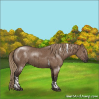 Horse Color:Liver Red Dun Tobiano Rabicano Brindle