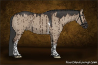 Horse Color:Liver Red Dun Tobiano Rabicano Brindle