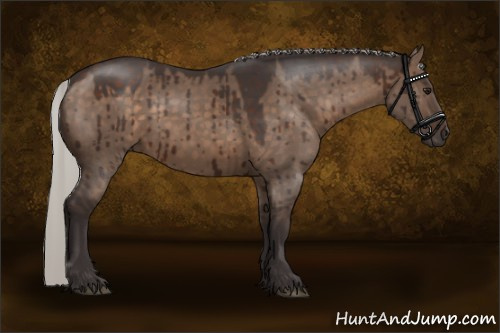 Horse Color:Silver Brown Dun Rabicano Brindle 