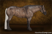 Horse Color:Silver Brown Dun Rabicano Brindle 