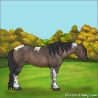 Horse Color:Brown Dun Tobiano 