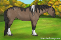 Horse Color:Liver Red Dun Tobiano Rabicano 