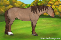 Horse Color:Liver Red Dun Tobiano Rabicano 