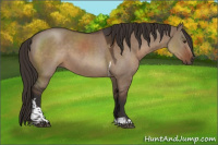 Horse Color:Liver Red Dun Tobiano 