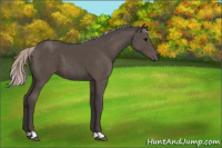 Horse Color:Silver Black 