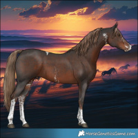 Horse Color:Liver Chestnut Sabino Tobiano