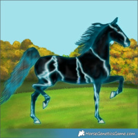 Horse Color:Void Thunderstruck White Spotted Red Dun Splash Tobiano Frame Blanket Rabicano 
