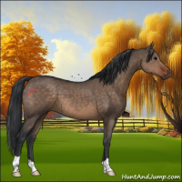 Horse Color:Brown Dun