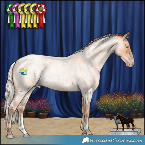 Horse Color:Silver Amber Champagne Roan 