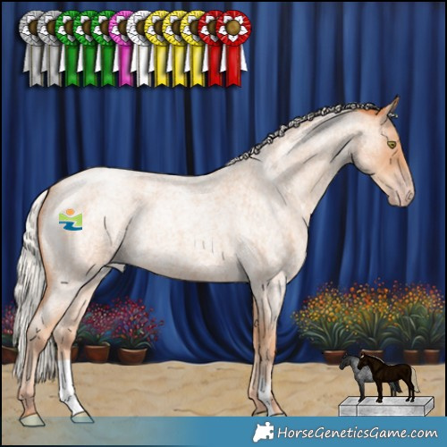 Horse Color:Silver Amber Champagne Roan 