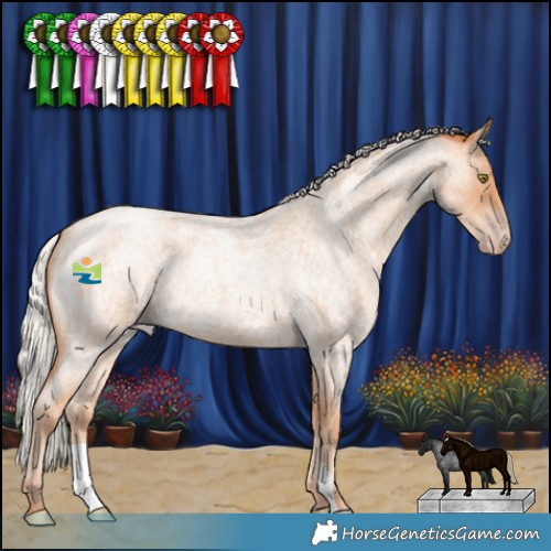 Horse Color:Silver Amber Champagne Roan 