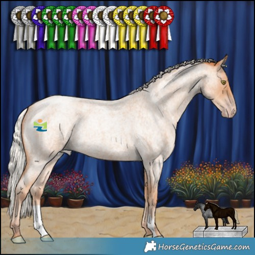 Horse Color:Silver Amber Champagne Roan 
