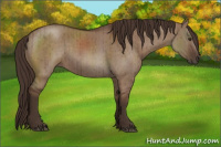 Horse Color:Liver Red Dun Rabicano Brindle 