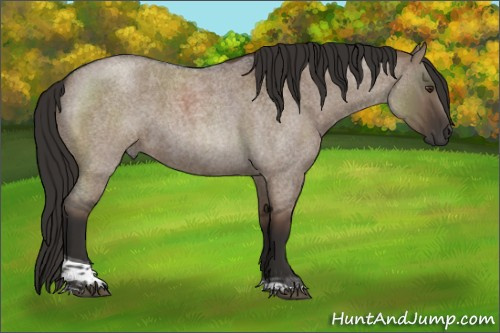 Horse Color:Liver Red Dun Roan Tobiano 