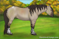 Horse Color:Liver Red Dun Tobiano Rabicano 