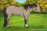 Horse Color:Liver Red Dun Tobiano Rabicano Brindle 