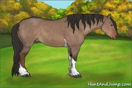 Horse Color:Liver Red Dun Tobiano Rabicano 