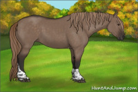Horse Color:Liver Red Dun Tobiano 