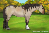 Horse Color:Liver Red Dun Tobiano Rabicano 