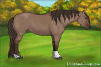 Horse Color:Liver Red Dun Tobiano Rabicano 
