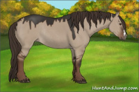 Horse Color:Liver Red Dun Rabicano 