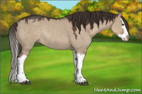 Horse Color:Liver Red Dun Splash Rabicano 