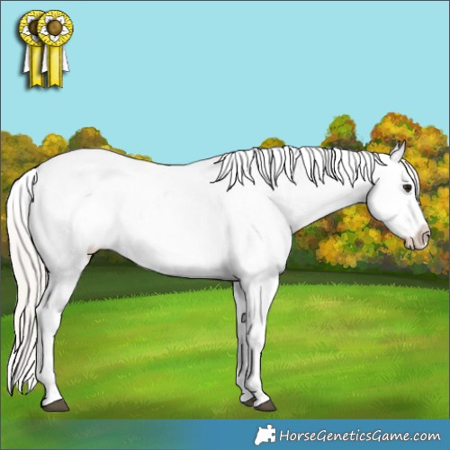 Horse Color:Silver Bay Ice Dun Splash Tobiano Appaloosa Rabicano