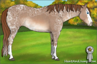 Horse Color:Chestnut Ice Sabino Splash Rabicano 