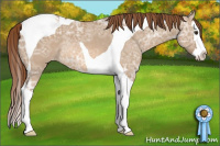 Horse Color:Red Dun Ice Sabino Splash Tobiano Varnish Rabicano 