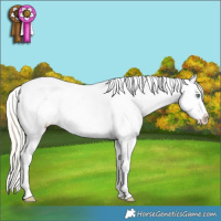 Horse Color:Silver Classic Cream Champagne Ice Roan Dun Splash Frame Appaloosa Rabicano 