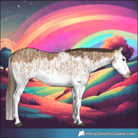 Horse Color:Red Dun Splash  and Bay Dun Splash 