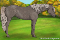 Horse Color:Silver Black 