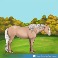 Horse Color:Silver Amber Champagne Frame 