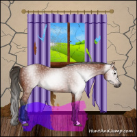 Horse Color:Gray Bay