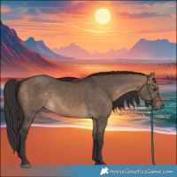 Horse Color:Brown Dun 