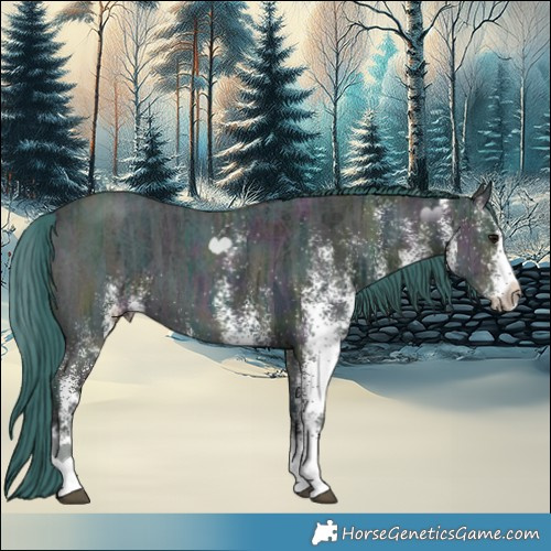 Horse Color:Watercolor White Spotted Midnight Black Ice