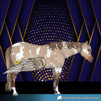 Horse Color:White Spotted Liver Red Dun Rabicano