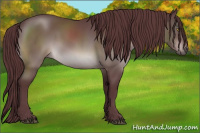 Horse Color:Platinum Chocolate Brown 