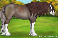 Horse Color:Platinum Chocolate Brown Splash 