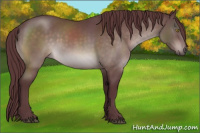 Horse Color:Platinum Chocolate Brown 