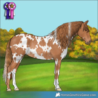 Horse Color:White Spotted Chestnut Rabicano 