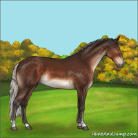 Horse Color:Silver Brown Sabino 