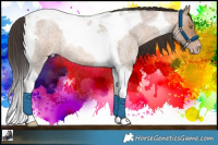 Horse Color:Sable Champagne Roan Tobiano 