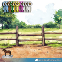 Horse Color:Buckskin Dun Splash Tobiano Appaloosa Rabicano 