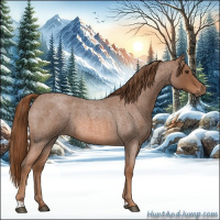 Horse Color:Red Roan 