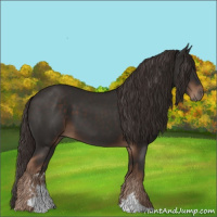 Horse Color:Liver Chestnut Sabino 